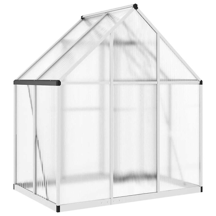 Silver Greenhouse with Base Frame 169x114x195 cm Aluminium
