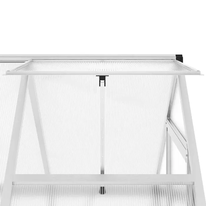 Silver Greenhouse with Base Frame 169x114x195 cm Aluminium