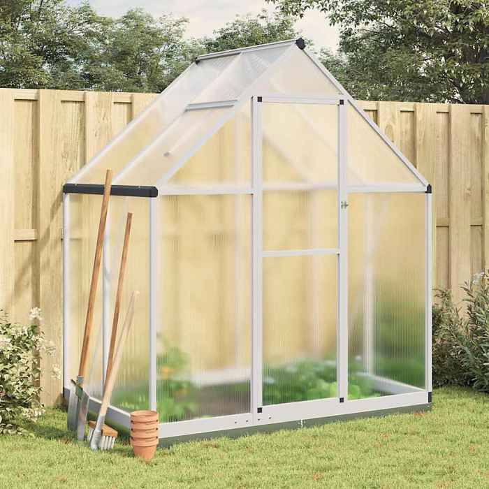 Silver Greenhouse with Base Frame 169x114x202 cm Aluminium