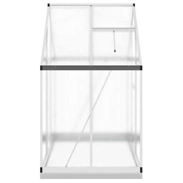 Silver Greenhouse with Base Frame 169x114x202 cm Aluminium