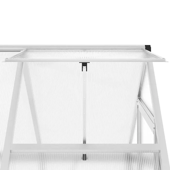 Silver Greenhouse with Base Frame 169x114x202 cm Aluminium
