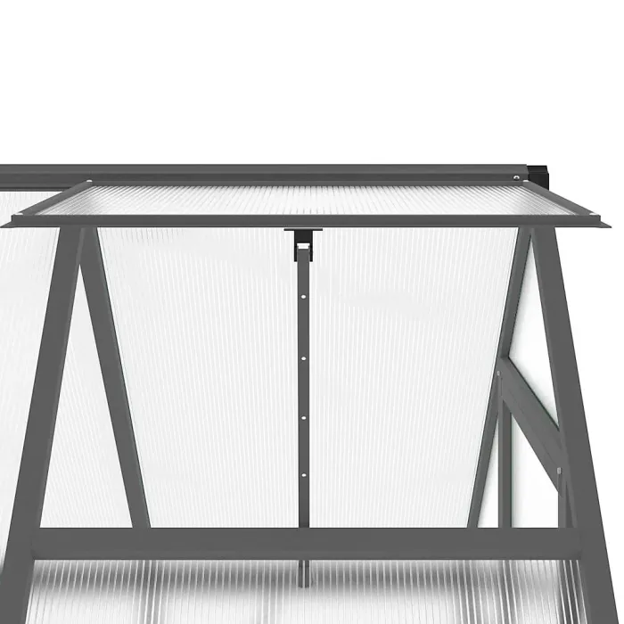 Anthracite Greenhouse with Base Frame 169x114x202 cm Aluminium